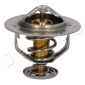 38206 Thermostat, coolant