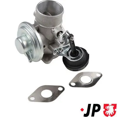 JP GROUP 1119903800 Клапан возврата ОГ