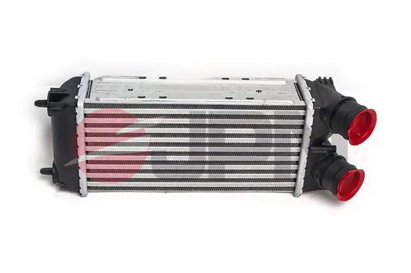 60C9278-JPN Charge Air Cooler