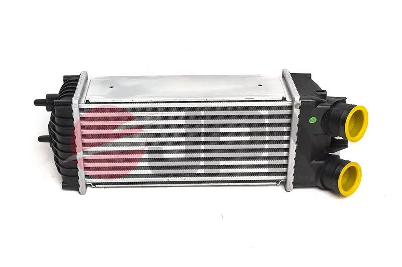 60C9279-JPN Charge Air Cooler