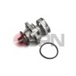 10C9033JPN Water Pump, engine cooling