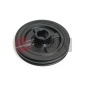 JPN 60R5013JPN