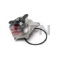 10C0A08JPN Water Pump, engine cooling