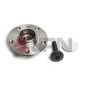 20L9013JPN Wheel Bearing Kit