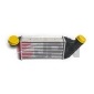 60C9270JPN JPN Charge Air Cooler
