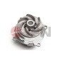 10C9110JPN Water Pump, engine cooling