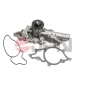 JPN 10C9061JPN