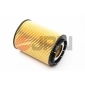 10F0A04JPN JPN Oil Filter