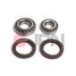 20L0306JPN JPN Wheel Bearing Kit