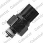 CALORSTAT by Vernet RS5589