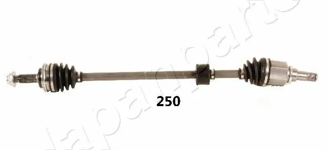 GI250 