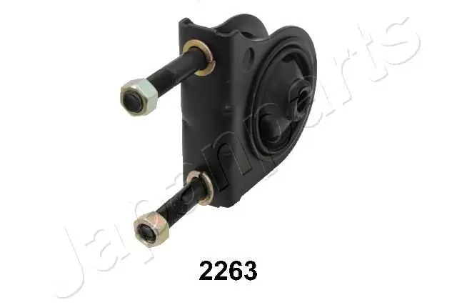 RU2263 