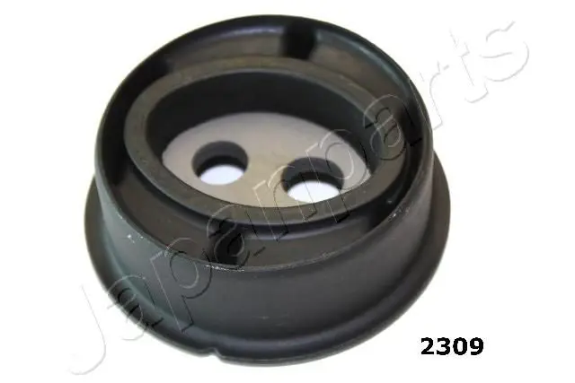 RU2309 