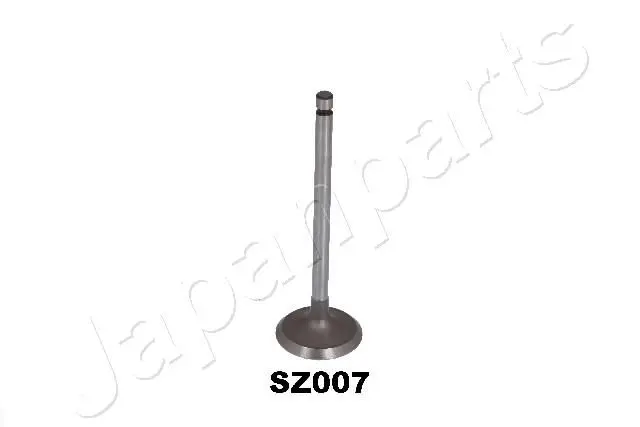 VVSZ007 