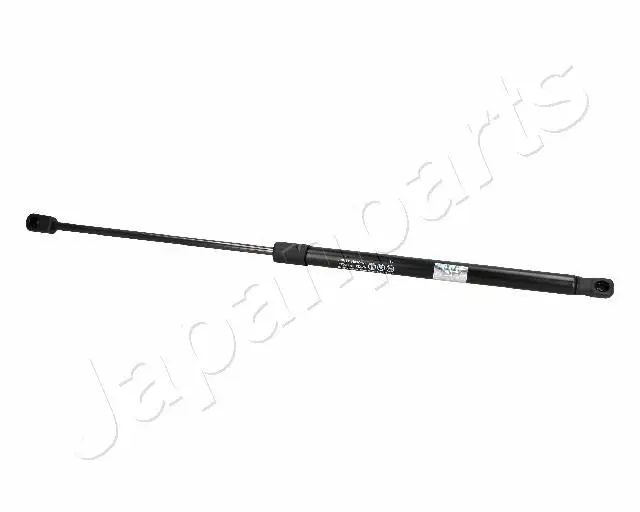 ZS06022 