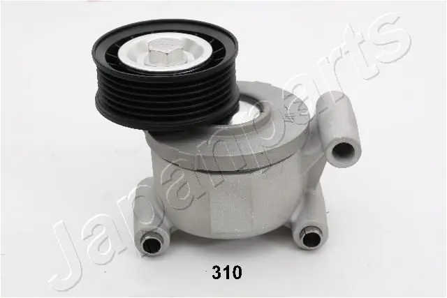 TS310 