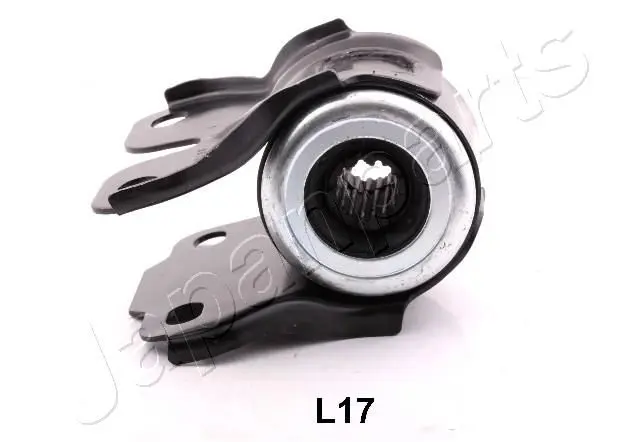 RUL17 