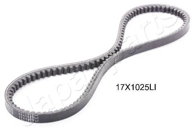 DT17X1025LI 