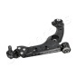 BS0209R JAPANPARTS Рычаг независимой подвески