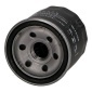 FOW01S Фильтр масляный CHERY