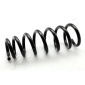 ZC3898A Japanparts Пружина подвески