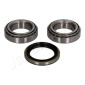 KK18001 JAPANPARTS Комплект подшипника