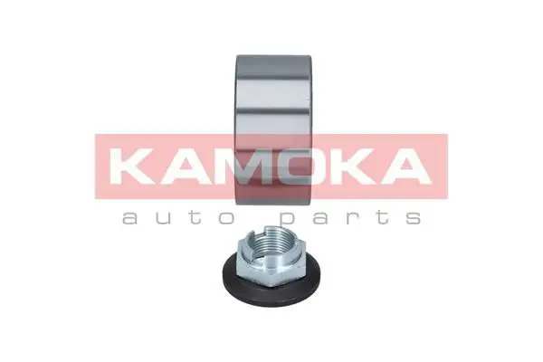 5600079 Комплект подшипника