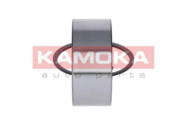 5600077 Комплект подшипника