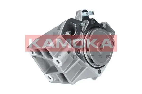 KAMOKA T0098 Водяной насос