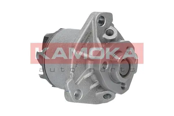 KAMOKA T0138 Водяной насос