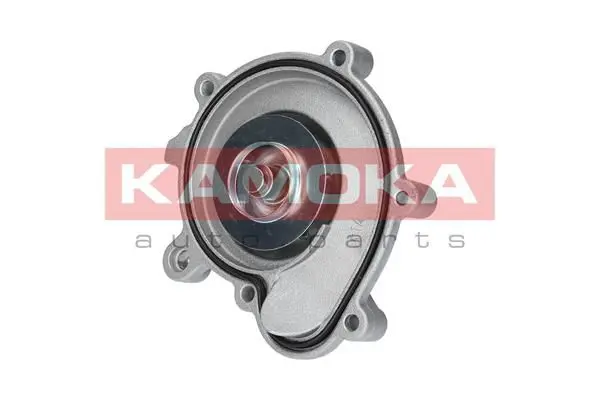 KAMOKA T0194 Водяной насос