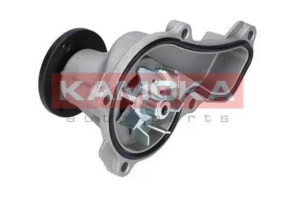 KAMOKA T0151 Водяной насос