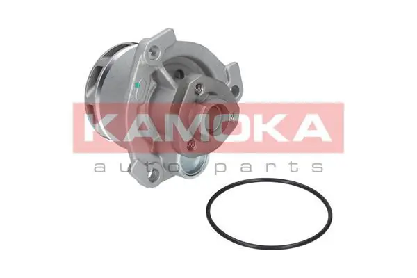 KAMOKA T0234 Водяной насос