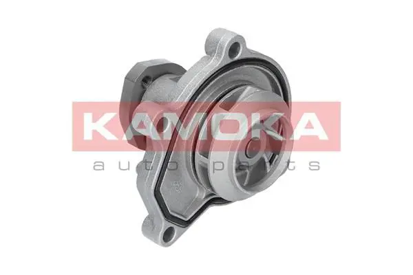 KAMOKA T0252 Водяной насос