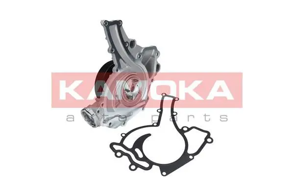 KAMOKA T0195 Водяной насос