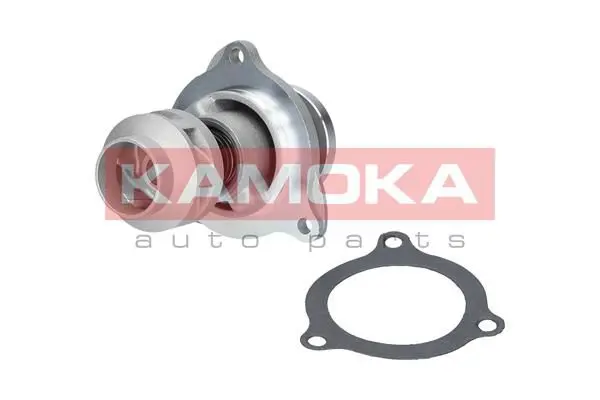KAMOKA T0135 Водяной насос