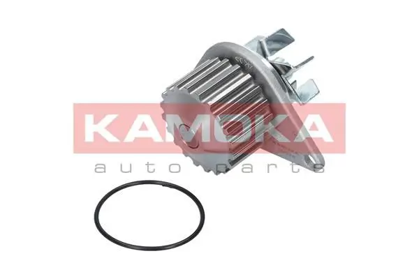 KAMOKA T0078 Водяной насос