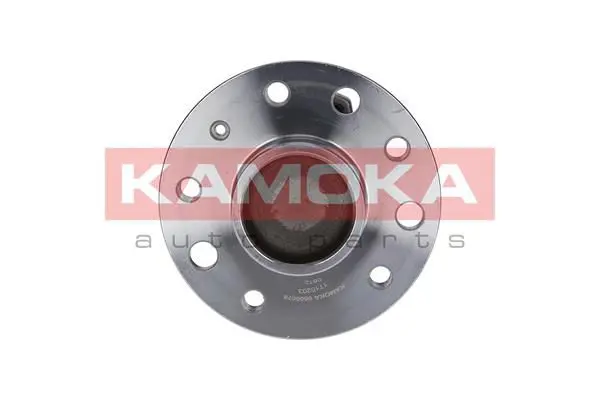 KAMOKA 5500078 Комплект подшипника