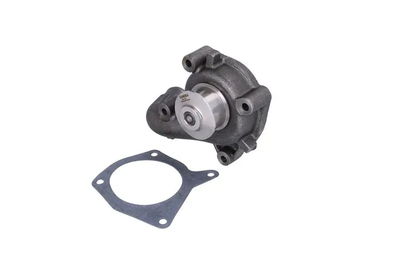 KAMOKA T0131 Водяной насос