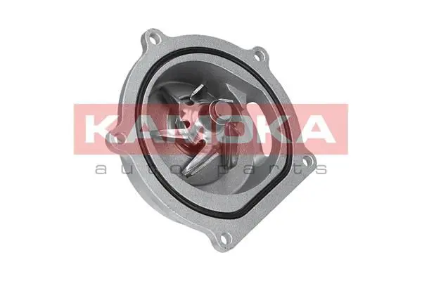 KAMOKA T0145 Водяной насос
