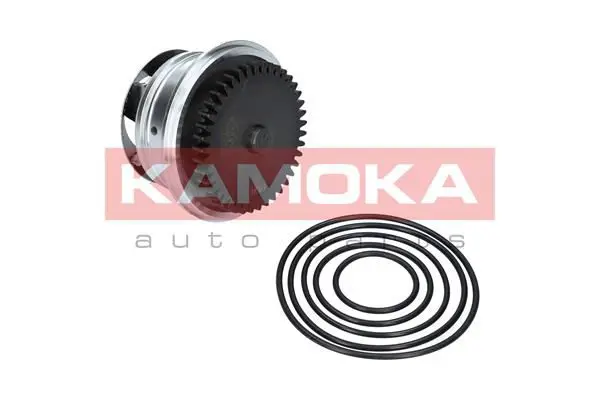 KAMOKA T0273 Водяной насос