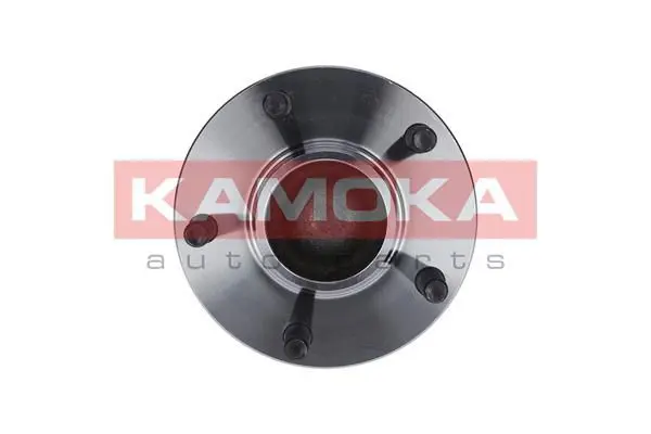 KAMOKA 5500098 Комплект подшипника