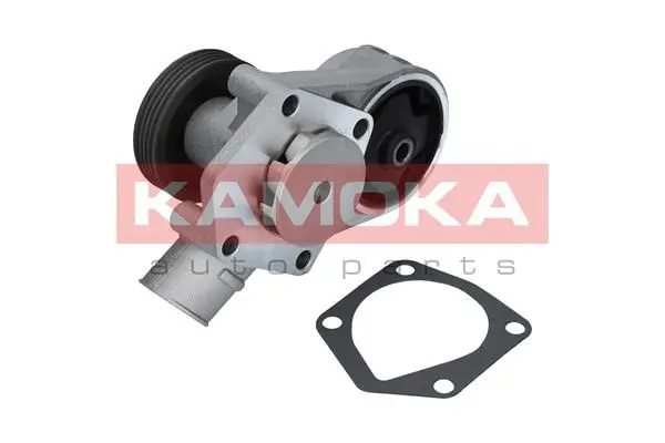 KAMOKA T0258 Водяной насос
