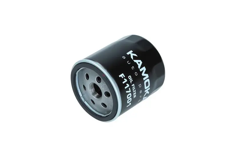 KAMOKA F117001 Масляный фильтр