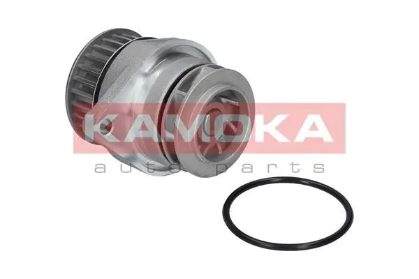 KAMOKA T0026 Водяной насос