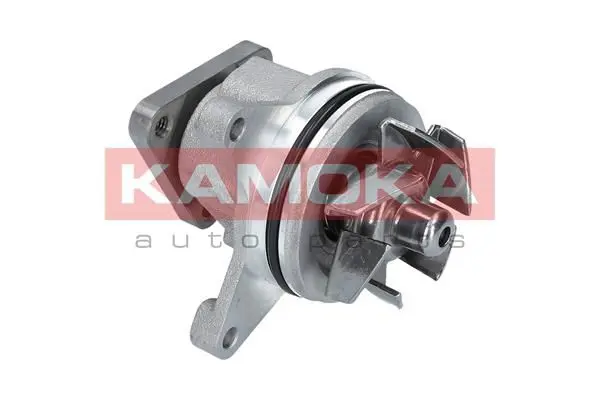 KAMOKA T0136 Водяной насос