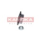 KAMOKA 5500052