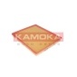 KAMOKA F222601