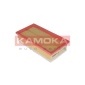KAMOKA F223601