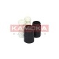 KAMOKA 2019021